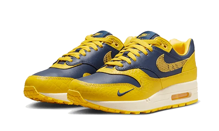 kids' sports footwear Sporty Style Air Max 1 CO.JP Michigan