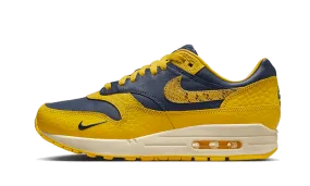 mountain - climbing running shoes Air Max 1 CO.JP Michigan