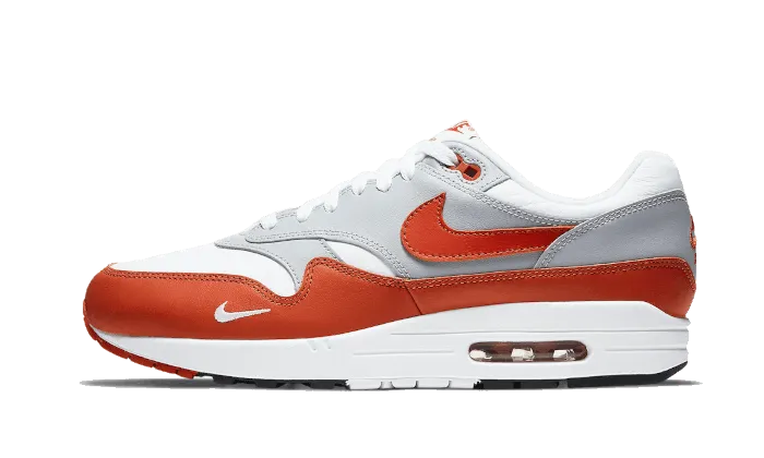 Air Max 1 Martian Sunrise rainy - day shoes