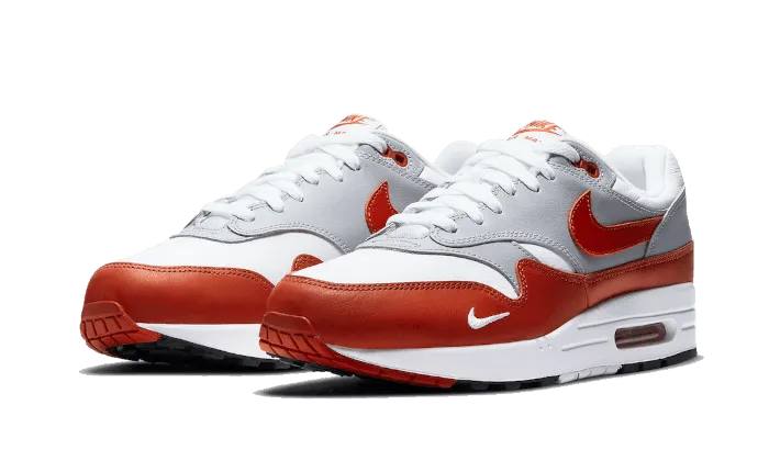 shoe care Air Max 1 Martian Sunrise