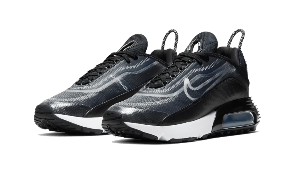 Multipurpose Air Max 2090 Black
