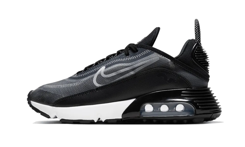 Air Max 2090 Black long - distance run