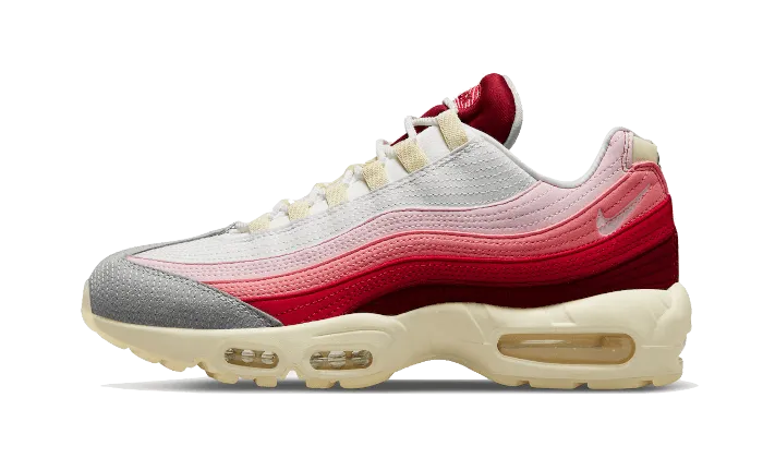 Stretch Laces Air Max 95 Anatomy of Air