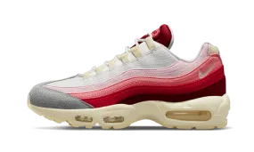 Stretch Laces Air Max 95 Anatomy of Air