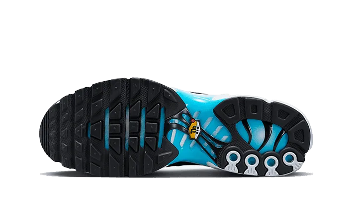 long - distance running Heart Rate Monitoring Air Max Plus Baltic Blue