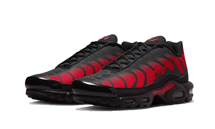 Nike Air Max Plus Bred Reflective Outdoors Ready