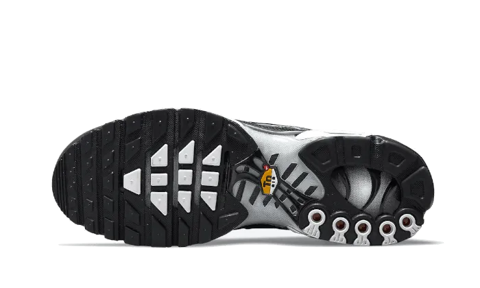 early - morning running in synthetic tracks shoes Air Max Plus Dark Smoke Grey