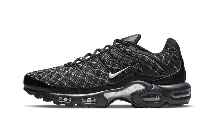 Air Max Plus France occasional use shoes
