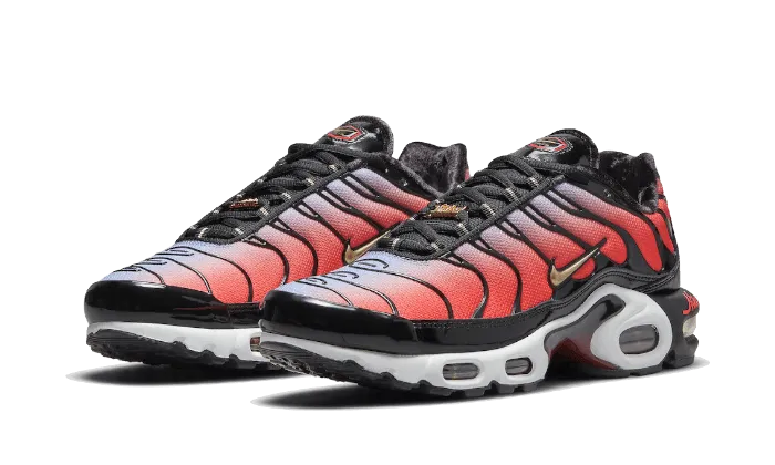 fitness culture lace - up shoes Air Max Plus Sisterhood