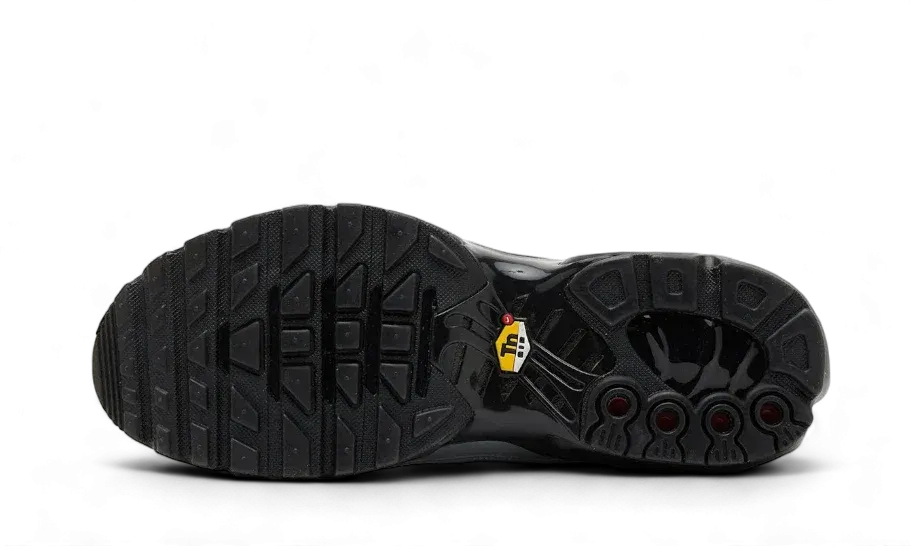 comfortable sneakers Air Max Plus Tiempo Wolf Grey