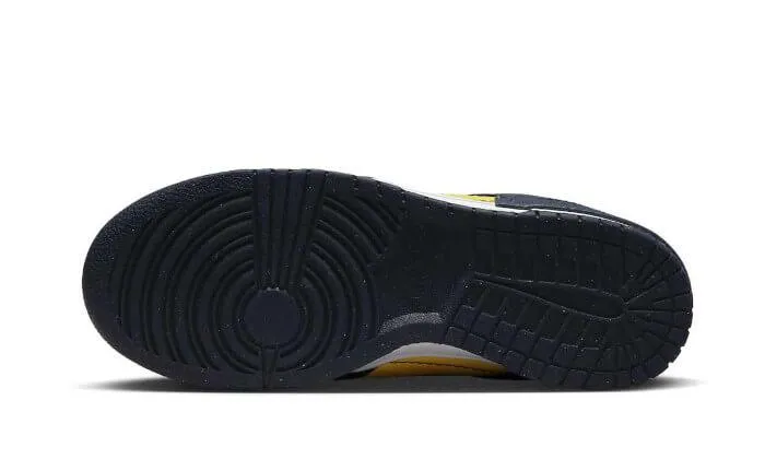 evening - run running in a reservoir area shoes Dunk Low Disrupt 2 Michigan