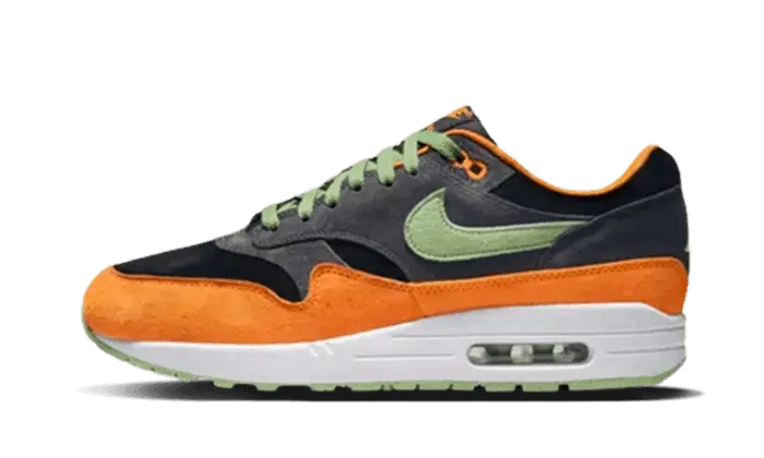 Sporty Style Air Max 1 PRM Duck Anthracite