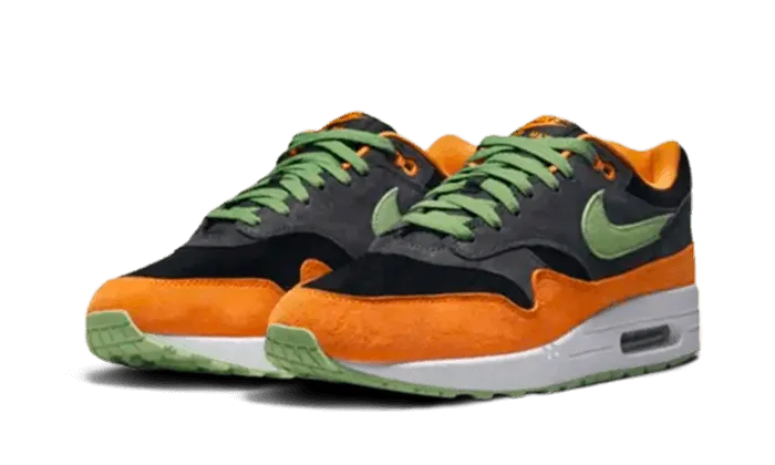 retirement - themed running shoes Air Max 1 PRM Duck Anthracite