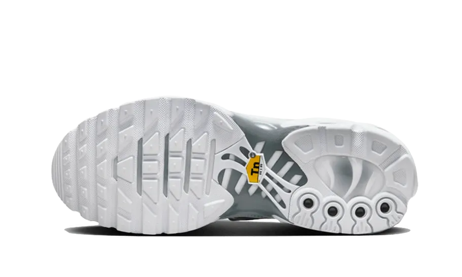 Nike Air Max Plus White Metallic Silver Core Fit Motion Control Frame