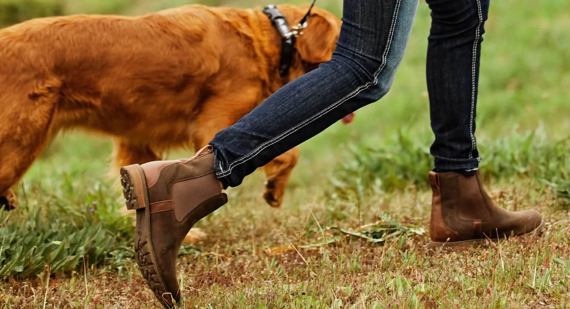Ariat Women's Wexford H20 Chelsea Boot Java