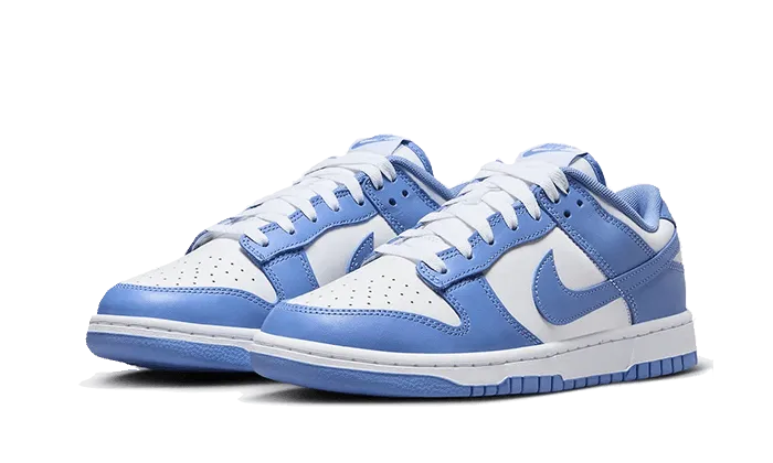 Dunk Low Polar Blue Daily Wear Shoes morning runner
