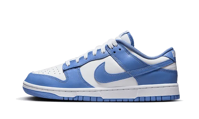 Foot Landing Dunk Low Polar Blue