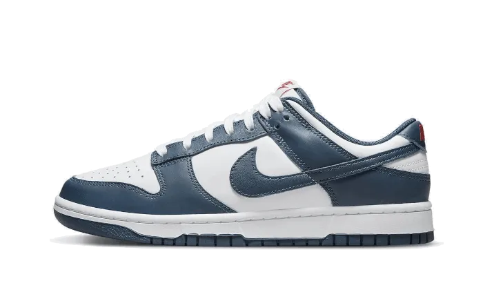 Dunk Low Valerian Blue Racer intense
