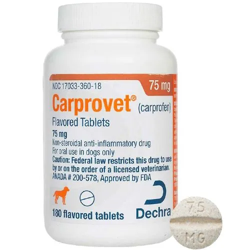 Carprovet (carprofen) Flavored Tablets for Dogs