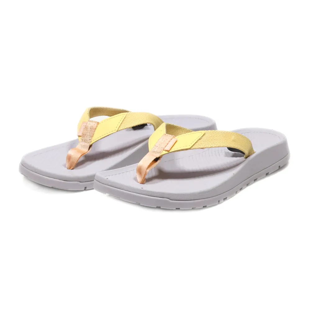 Chaco Flip Flops Fabric Purple Colour For Men