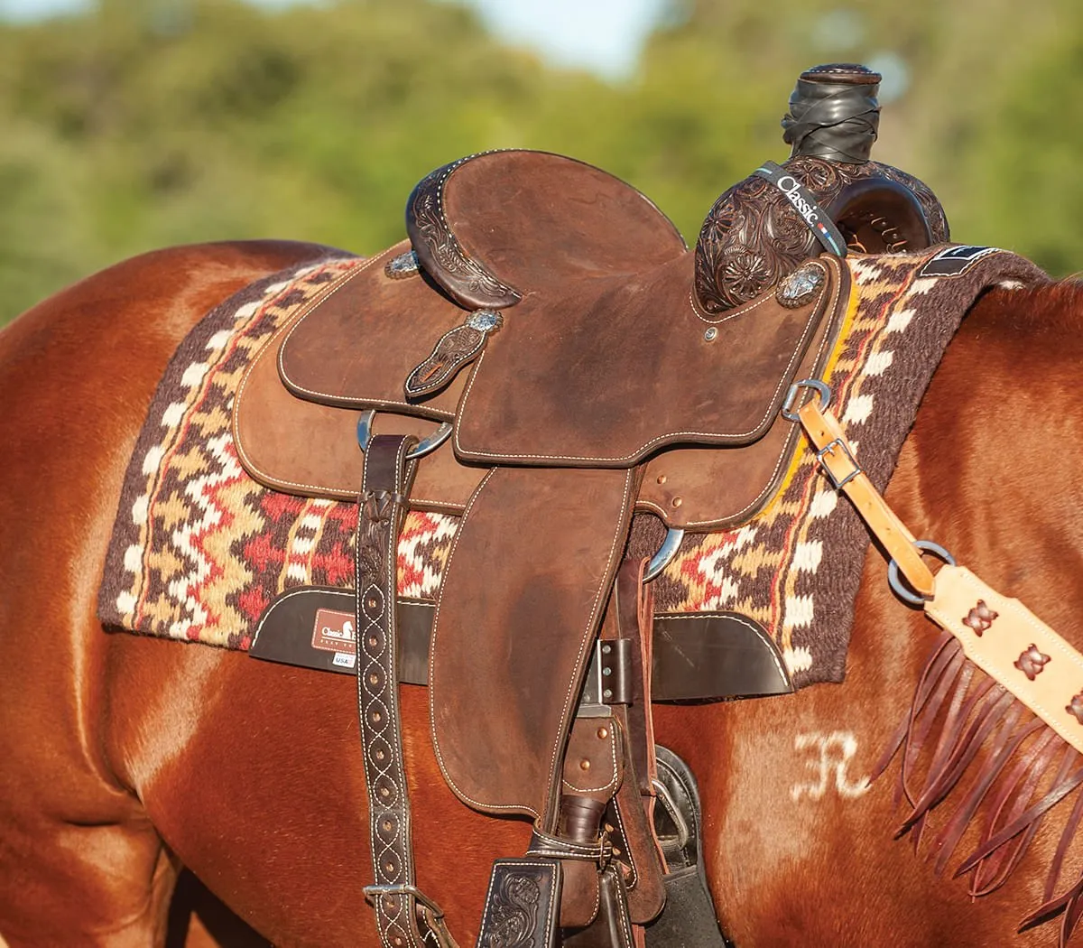 Classic Equine Wool Top Saddle Pad
