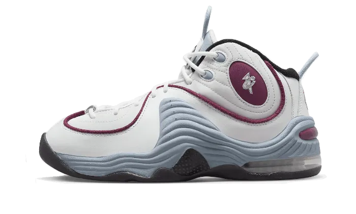 Air Max Penny 2 Rosewood shoe cleaning for fitness