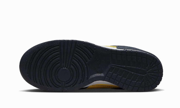 Flexible Rubber Outsole Nike Dunk Low Disrupt 2 Michigan