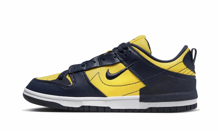 Nike Dunk Low Disrupt 2 Michigan All-around silhouette All Walks