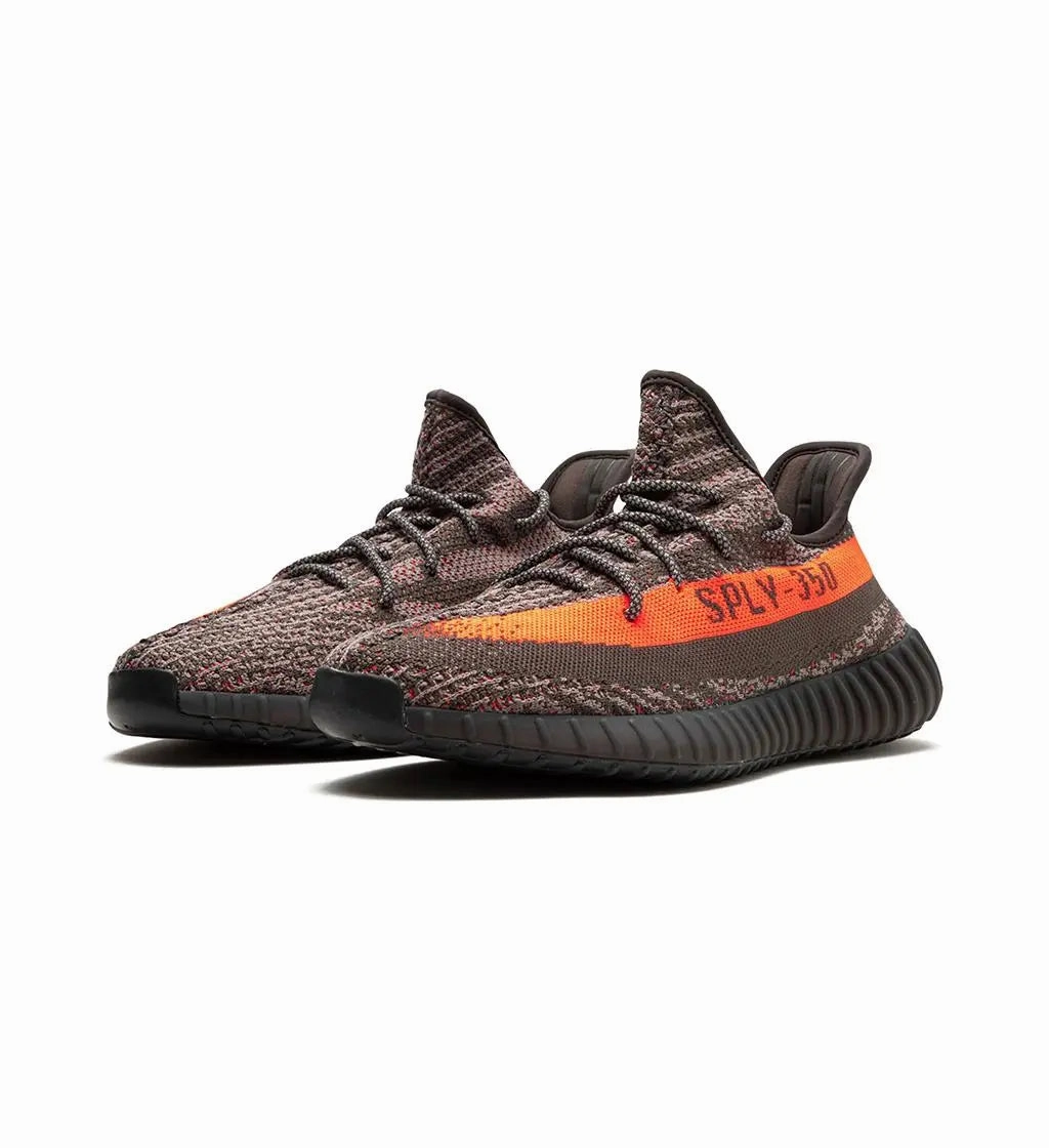 Adidas Yeezy 350 V2 Carbon Beluga Indoor Daily