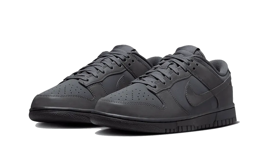 Dunk Low Cyber Reflective anaerobic running gear age - specific shoes