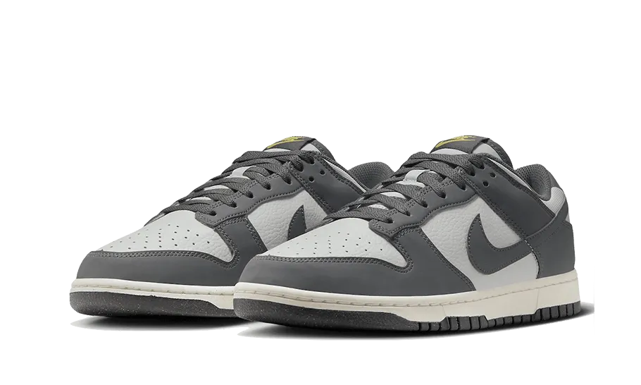 Replaceable Insole Performance sneakers Dunk Low Next Nature Iron Grey Lightning