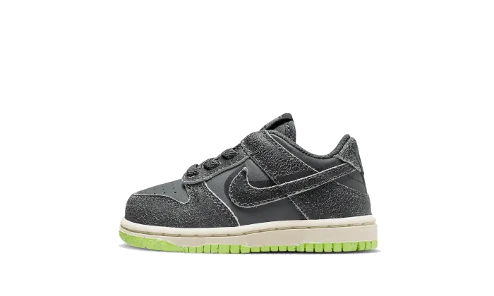 Dunk Low Swoosh Shadow Iron Grey Bb (TD) Racing Break - in - free