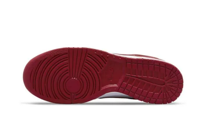 Dunk Low USC pool shoes ElasticLaces