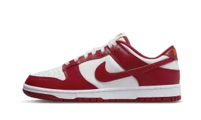 festival - themed running wear Dunk Low USC
