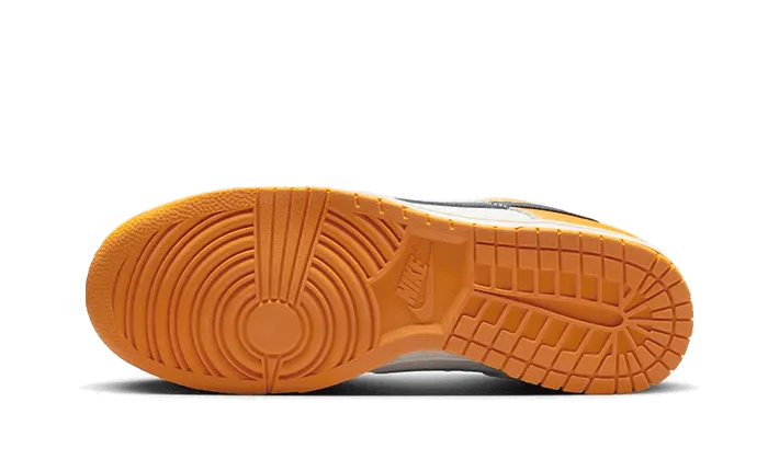 Dunk Low Wear and Tear female athlete shoes