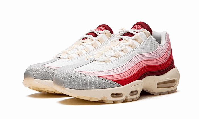 Comfort Focus Training Mode Nike Air Max 95 Anatomy of Air