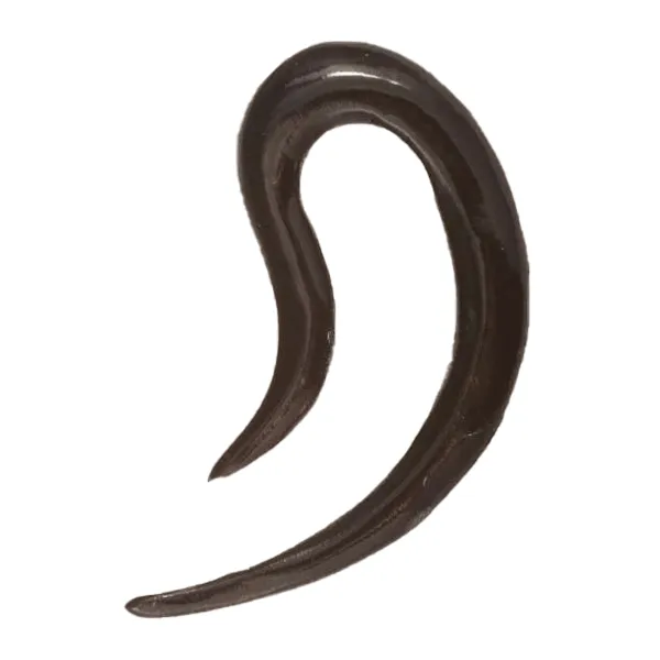 Ear Shaped Hook Stretcher