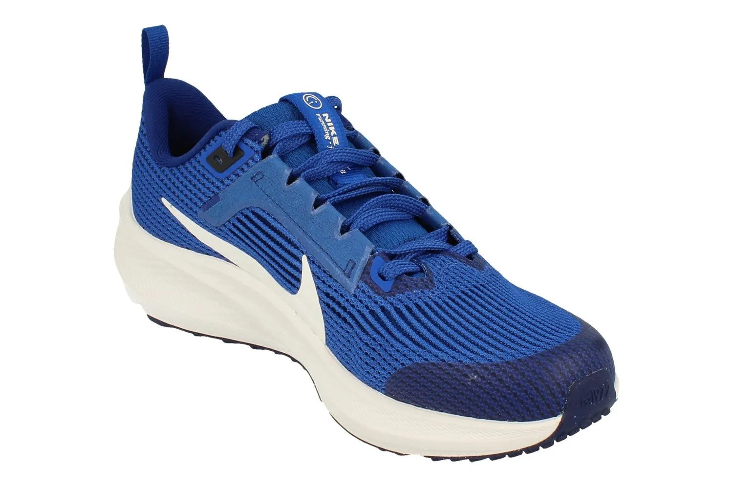 Nike Air Zoom Pegasus 40 GS DX2498 400 running for a cause shoes Motion Freedom