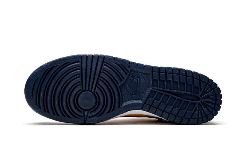 Hydrophobic coating Nike Dunk Low Off-White Michigan