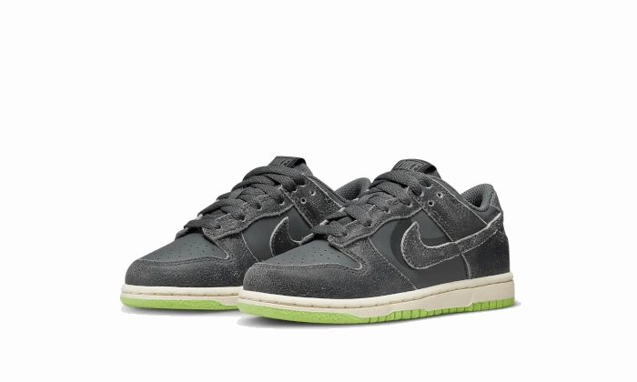 Odor Control Treatment Gym Routine Nike Dunk Low Swoosh Shadow Iron Grey Enfant (PS)