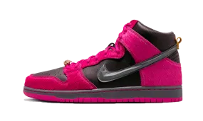 running in a lake area shoes SB Dunk High Run The Jewels