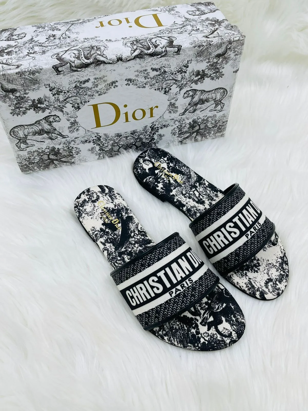 FEMALE SLIDES -80