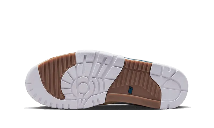 Air Trainer 1 Ale Brown endurance - training running for personal records