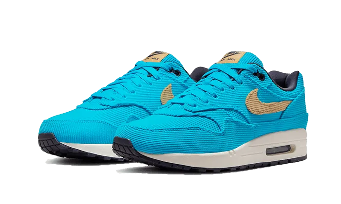 High-performance indoor - friendly Air Max 1 Corduroy Baltic Blue