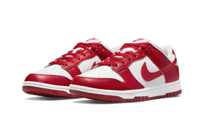 canoeing shoes Dunk Low Next Nature Gym Red