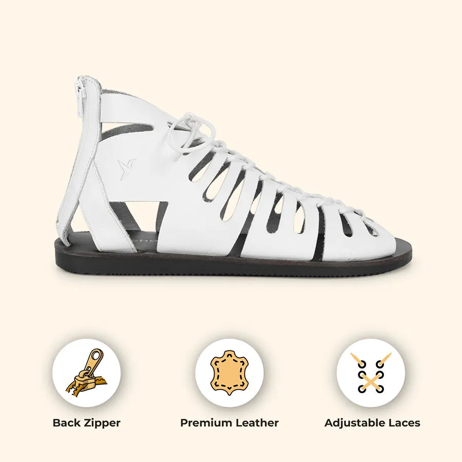 Gladiator
