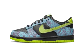 cushioned fabric shoes Dunk Low Acid Wash