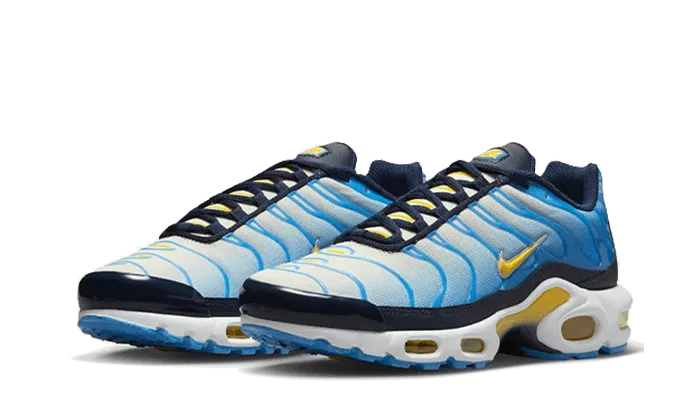 Air Max Plus University Blue Topaz Gold running for a way to stay active running - efficiency