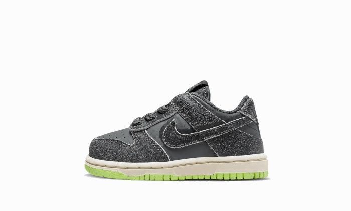 Nike Dunk Low Swoosh Shadow Iron Grey Bb (TD) Recycled Polyester Fabric High Arch