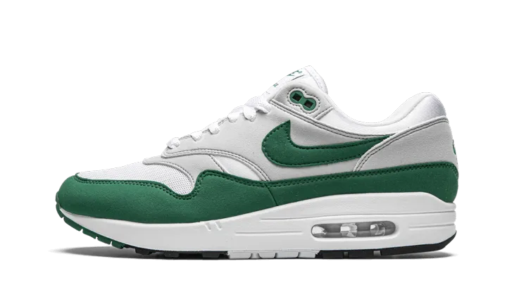 Nike Air Max 1 Anniversary Green (2020) Everyday Run